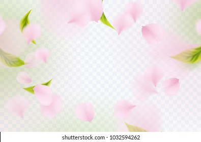 Petals of rose, green leaves isolated on transparent background. Realistic pink sakura falling petals pattern. Flying blossom cherry flower elements for spring advertising design.