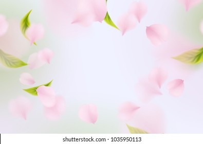 Petals of rose, green leaves isolated on light blue sky background. Realistic pink sakura falling petals pattern. Flying blossom cherry flower elements for spring advertising design.