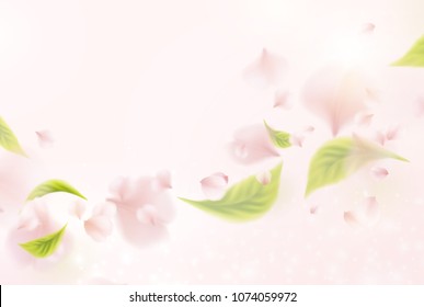 Petals of rose and green leaves soft spa background. Realistic pink sakura falling petals pattern. Flying blossom cherry flower elements for romantic wedding invitation design.