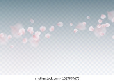 Petals of rose isolated on transparent background. Realistic pink sakura falling petals pattern. Flying blossom cherry flower elements for romantic wedding invitation design.