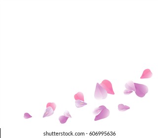 Petals Roses Flowers. Purple Violet Sakura flying petals isolated on white background. Vector EPS 10, cmyk.