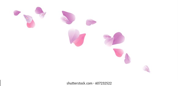 Petals Roses Flowers. Purple Violet Sakura flying petals isolated on white background. Vector EPS 10, cmyk