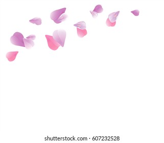 Petals Roses Flowers. Purple Violet Sakura flying petals isolated on white background. Vector EPS 10, cmyk