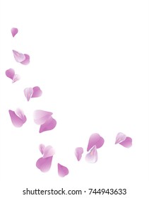 Petals Roses Flowers. Purple Violet Sakura flying petals isolated on white background. Vector EPS 10, cmyk