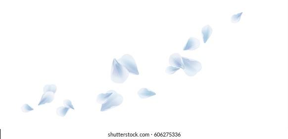 Petals Roses Flowers. White Blue Sakura flying petals isolated on white background. Vector EPS 10, cmyk.