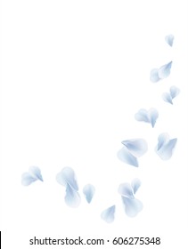 Petals Roses Flowers. White Blue Sakura flying petals isolated on white background. Vector EPS 10, cmyk.