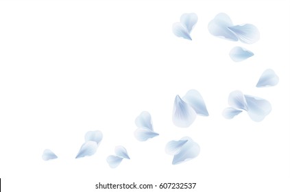 Petals Roses Flowers. White Blue Sakura flying petals isolated on white background. Vector EPS 10, cmyk