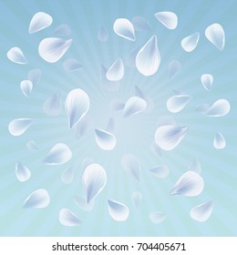 Petals Roses Flowers. White Sakura flying petals isolated on light Blue rays background. Vector EPS 10, cmyk.