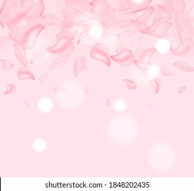 Petals of roses. Spring background table. May flowers and April floral nature on pink. For banner, branches of blossoming cherry against background. Dreamy romantic image, landscape, copy space.