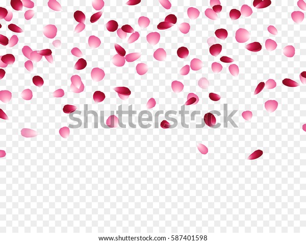 透明な背景に桜の花の花びらが落ちる効果 ベクター赤とピンクのバラの花びらが 女性 母の日 バレンタイン 結婚式 グリーティングカードデザインの背景に飛んでいます のベクター画像素材 ロイヤリティフリー