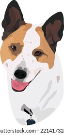 pet,aniamal desgin vector desgin and man drawing