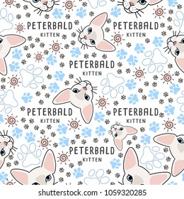 Peterbald : Cat breed collection : Seamless Pattern : Vector Illustration
