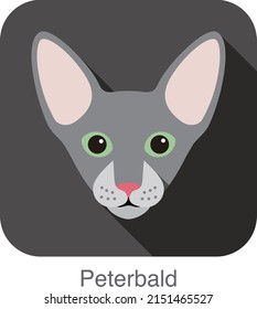 Peterbald Cat, Cat breed face cartoon flat icon design