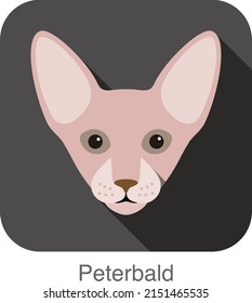 Peterbald Cat, Cat breed face cartoon flat icon design