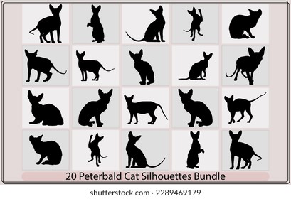 Peterbald Cat, Cat breed face cartoon flat icon design,Peterbald cat SIlhouette ,Peterbald cat silhouette bundle,