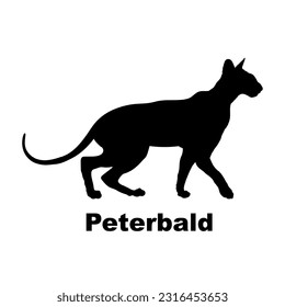 Peterbald cat silhouette. Cat breeds vector. Pet. Animal