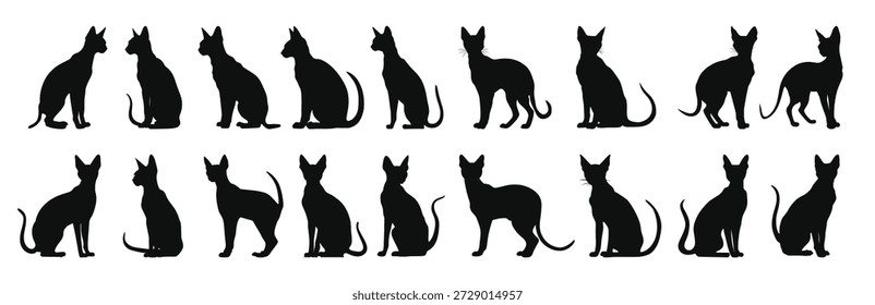 peterbald Katze Silhouette Clipart Bundle
