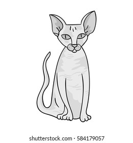Peterbald icon in monochrome style isolated on white background. Cat breeds symbol stock vector illustration.