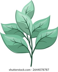 Petiole Fresh, beautiful and natural