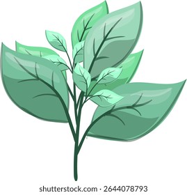 Petiole Fresh, beautiful and natural