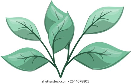 Petiole Fresh, beautiful and natural