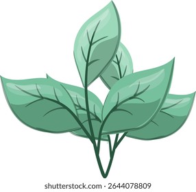 Petiole Fresh, beautiful and natural