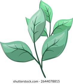 Petiole Fresh, beautiful and natural