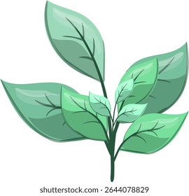 Petiole Fresh, beautiful and natural