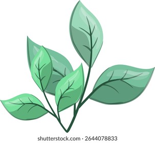 Petiole Fresh, beautiful and natural