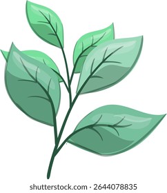 Petiole Fresh, beautiful and natural
