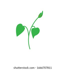 petiole vector design color illustration