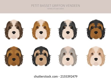 Petit Basset Griffon Vendeen clipart. Different poses, coat colors set.  Vector illustration