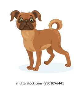 Petit Brabancon. Cute Belgian griffon dog. In cartoon style. Isolated on white background. Vector flat illustration.
