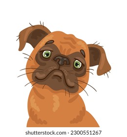 Petit Brabancon. Portrait of a cute Belgian griffon dog. In cartoon style. Isolated on white background. Vector flat illustration.