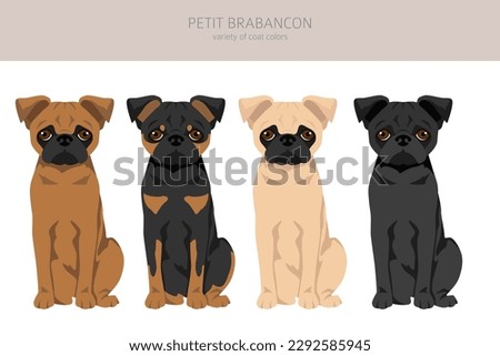 Petit Brabancon, Small Belgian dogs clipart. Different poses, coat colors set.  Vector illustration