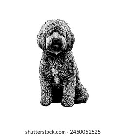 Petite Goldendoodle hand drawing vector isolated on white background.