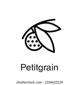 Petitgrain vector icon. Trending fragrance. Top notes, scent, perfume, aromatic essence, cream, soap, cosmetics. 