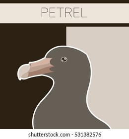 Petrel flat postcard