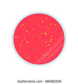 Petri dish with agar and bacteria, vector illustration in flat style isolated on the background. Eps10