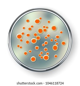 Petri dish with bacteria colonies, isolated on white background