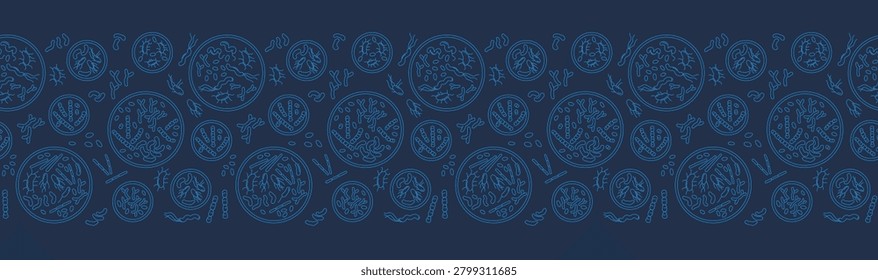 Petri dish bacteria seamless border banner pattern for microbiology, healthcare and education use, Vector Illustration, blue line art repeat with laboratory microbes on white background.