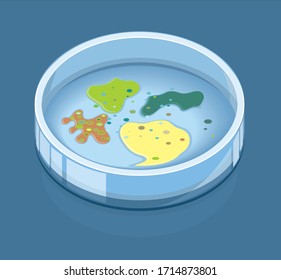 Petri dish with growth bacteria culture or fungi. Vector