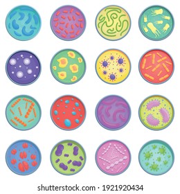 Petri dish icons. Cartoon of petri dish vector icons for web design isolated on white background