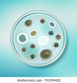 Petri dish with mold colonies