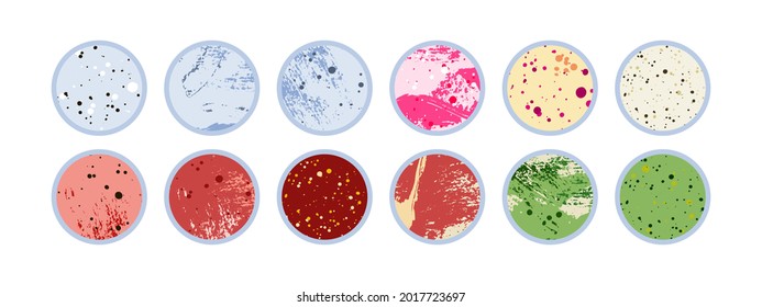 Petri dish, plate with agar, bacterial colony. Bacteriology. Microbiology. Laboratory test, bacteriological swab, chemical analysis. Vector flat cartoon illustration