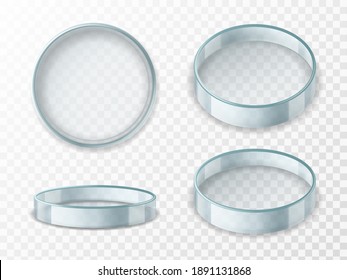 Petri dish. Realistic 3d empty glass lab cup in different angles, test container for experiments, laboratory vessel, scientific analysis. Medical pharmacy or biology equipment glassware, vector set