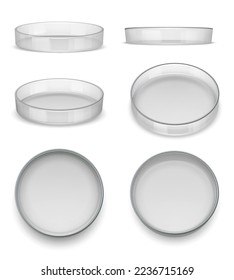 Petri dish. Round dish for analysis or laboratory experiments decent vector realistic template