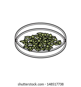 A petri dish of seeds. 