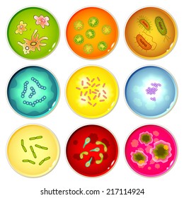 Petri dishes with bacteria and germs colonies set isolated vector illustration.