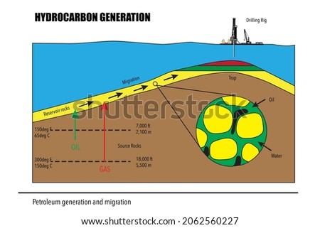 Petroleum genesis, migration and accumulation process, trap in reservoir rocks with anticline structure. Subsurface cross section vector drawing diagram with detail grain texture, fluid and pores